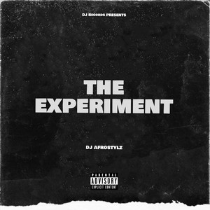 The Experiment (Explicit)