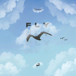 Fly