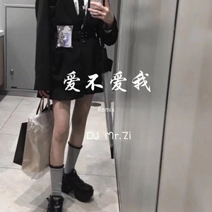 爱的回归线-DJ Mr.Zi