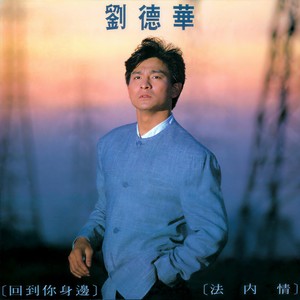 刘德华《回到你身边 (国语)》[MP3_LRC]_MP3下载