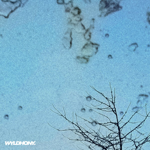 WYLDHONY - Tree-Topper