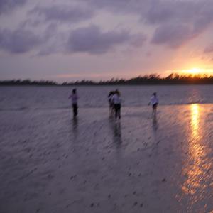 thank you for everything (feat. 4cf) (Explicit)