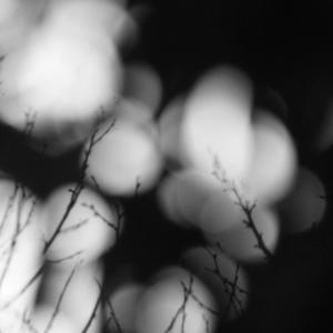 Zake - Tenebris (feat. Angela Winter)