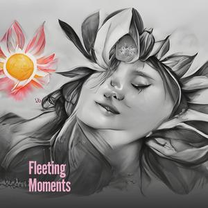 Fleeting Moments