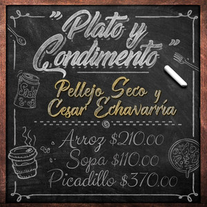 "Plato Y Condimento"