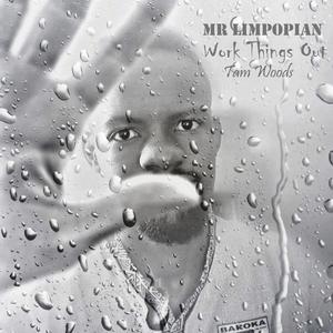 Work Things Out (feat. Tam Woods) (Remaster|Explicit)