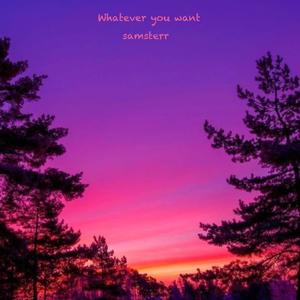 Whatever you want (Explicit)