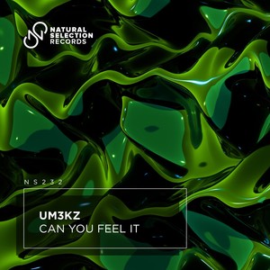 Can You Feel It (Extended Mix)