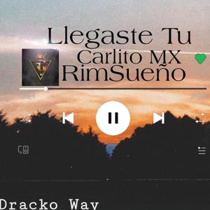 Llegaste Tu (feat. RimSueño) [Explicit]