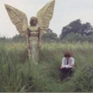 Seemewrong (Explicit)