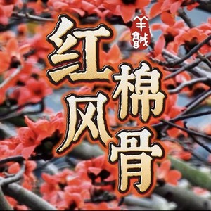 红棉风骨