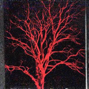 IN ABSENTIA (Explicit)