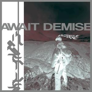 Await Demise