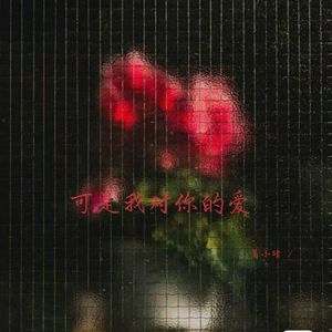 可是我对你的爱 (说唱女生版)