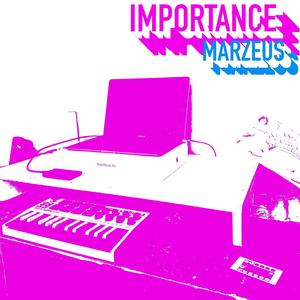 IMPORTANCE (Explicit)