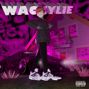 КАРАТЫ (Explicit)