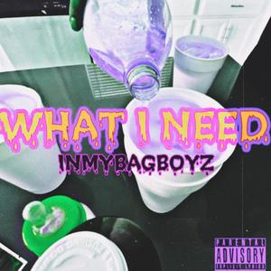 What I Need (Explicit)