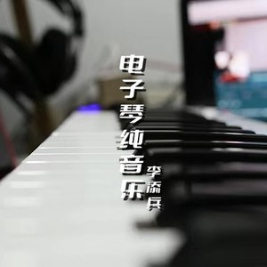 再见不如不见DJ (电子琴版)