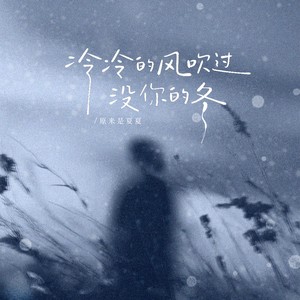 冷冷的风吹过没你的冬