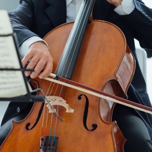 Strings Soothe the Evening Calm