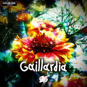 Gaillardia