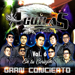 En Tu Corazón: Gran Concierto, Vol. 6 (En Vivo)