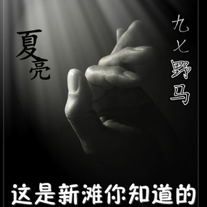让她飞吧