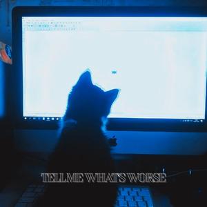 tell me what's worse (Slowed)