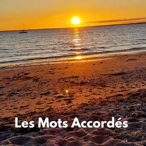 Les mots accordés