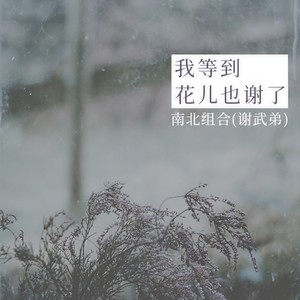 我等到花儿也谢了