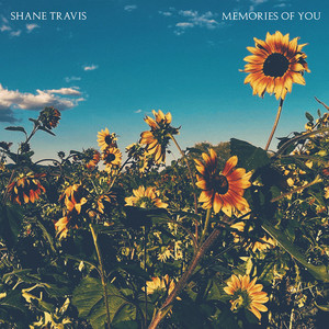 Someone You Used to Love