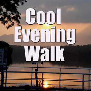 Cool Evening Walk