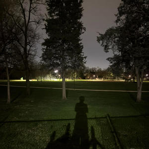 catch the shadow but who catch?