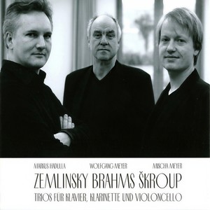 Trio for Clarinet, Cello & Piano in D Minor, Op. 3 - I. Allegro ma non troppo