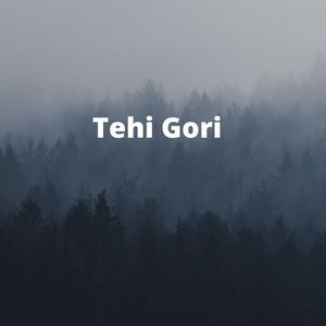 Tehi Gori