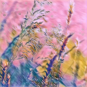 人情事故不可违之