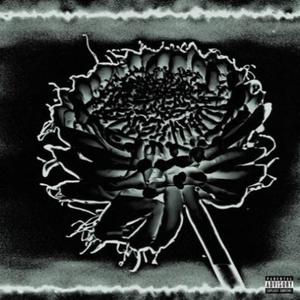 That One Song (Remix|Explicit)