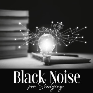 Black Noise for Studying