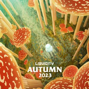 Liquicity Autumn 2023