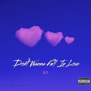 Don't Wanna Fall In Love (Explicit)