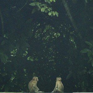 สูดละออง ละลอยล่องลงโลกคู่ขนาน (Sped Up)