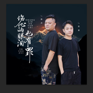 伤心的眼泪也有罪 (伴奏)