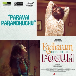 Paravai Parandhuchu