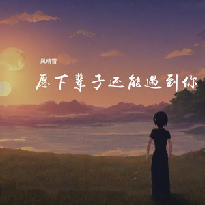 愿下辈子还能遇到你