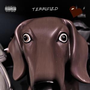 Terrified (Explicit)