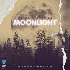 Moonlight (Explicit)