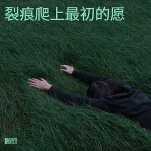 爱不由己封面