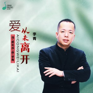 爱从未离开封面