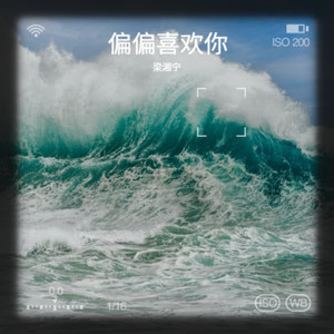 偏偏喜欢你（为何你的嘴里总是那一句）