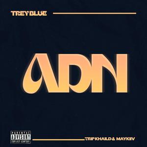 ADN (feat. Trip khaild & Maykiiv) [Explicit]